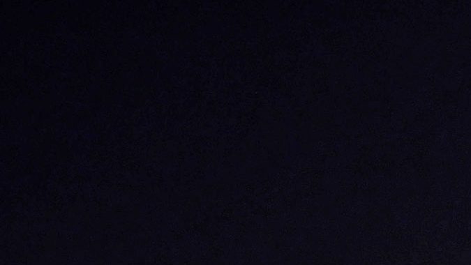 Mauricio Pochettino.