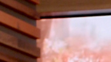 Rashel Díaz visitó este 26 de septiembre el programa Despierta América, que transmite Univision.