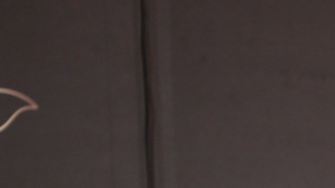 Raúl de Molina, presentador de televisión.
