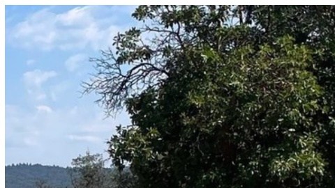 Los agentes localizaron a Pineda, gravemente deshidratada y demacrada