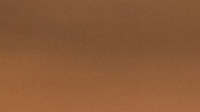 Los beneficios de la chía, según Harvard