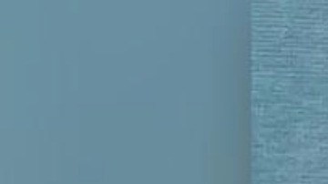 La mujer está encarcelada en la prisión del condado de Stark con una fianza de $100,000.