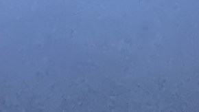 Patrulla de la Policía de Suffolk County en Long Island, NY.