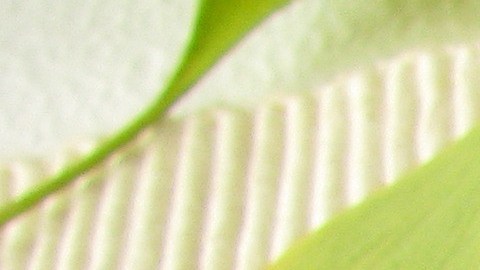 El té de ginkgo biloba se puede servir frio o caliente, se recomienda dos tazas máximo al día