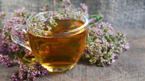 El té de orégano se recomienda beber en ayunas y un máximo de dos tazas al día