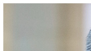 Ted Cruz dice que Kamala Harris quiere aumentar el número de migrantes de 11 millones, a "20, 30, 40 millones de migrantes".