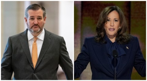 Ted Cruz dice que Kamala Harris quiere aumentar el número de migrantes de 11 millones, a "20, 30, 40 millones de migrantes".