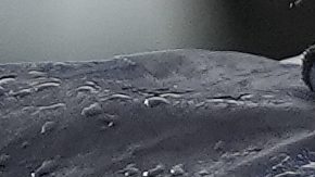 Tyler Badie retirado en camilla.