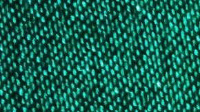 Color verde azul