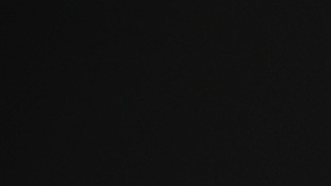 Vesitr de negro