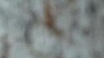 Yailin La Más Viral, cantante dominicana.