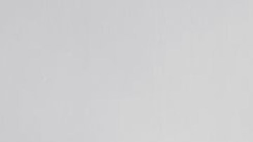 Yailin 'la más viral'.