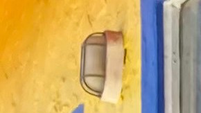 Haitianos en Florida truenan contra Trump