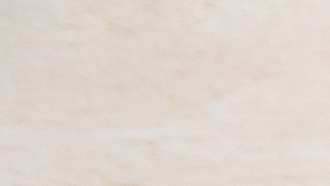 Hay varios alimentos que por su contenido de probióticos ayudan a mejorar la microbiota intestinal.