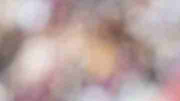 Barcelona enfrenta al Getafe por la séptima fecha de La Liga.