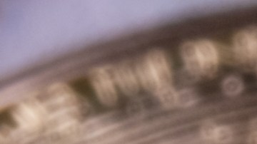 bitcoin-precio-inversion-100-dolares