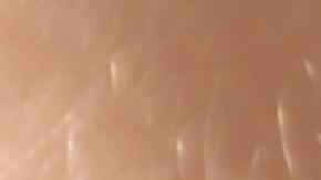 carolina-del-norte-colchon-loteria-1-millon