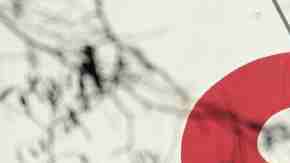 ¿Costco o Walmart? ¿Dónde hay mejores precios de carne?