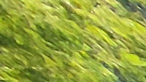 Bailarines mexicanos en las calles de Nueva York.