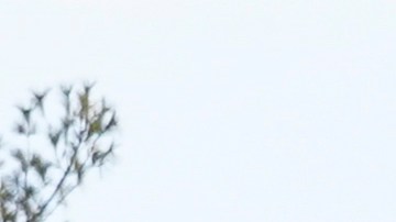 El producto en Dollar Tree cuesta 93% menos.