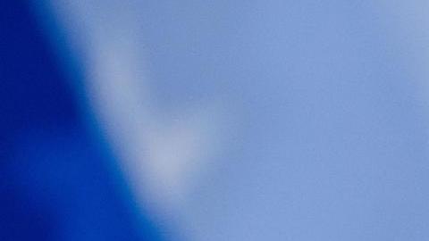 Las acciones de Trump se derrumbaron, tras su actuación en el debate del 10 de septiembre.