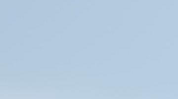 De Springfield a Venezuela: el plan de deportación masiva de Donald Trump