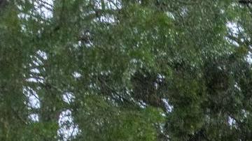 Habitantes de Florida se preparan para la llegada del huracán Helene.