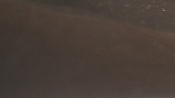 3 errores que debes evitar al cargar gasolina en Estados Unidos