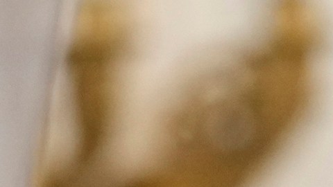 Absuelven a grupo de acusados de emboscar autobús de campaña de Joe Biden