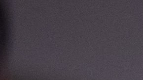 Lady Gaga y Michael Polansky tienen planes de casarse.