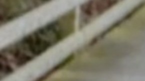 Ordenan la deportación de Leito Oficial a Venezuela