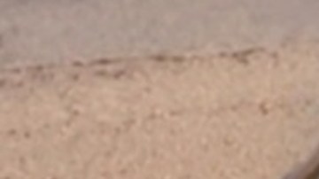 Temía que lo asesinaran: las últimas palabras de Leito Oficial desde la cárcel