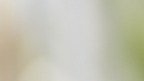 La esposa e hijos Chad McQueen, dieron a conocer la noticia de su fallecimiento.