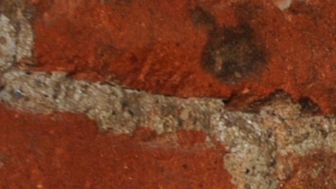 Susana Zabaleta está de luto.