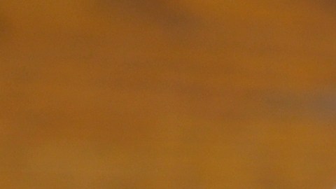Recalentar los muffins en el microondas o en el horno es una buena opción para recalentarlos.