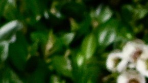 Durante su batalla contra el cáncer, Olivia Munn ha demostrado una increíble resiliencia.