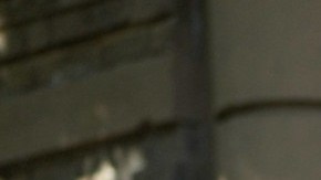 Agentes de la oficina del Sheriff de la ciudad y del NYPD en el lugar donde se cultivaba la yerba.