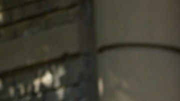 Agentes de la oficina del Sheriff de la ciudad y del NYPD en el lugar donde se cultivaba la yerba.