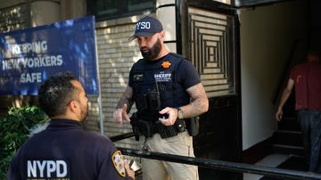 Agentes de la oficina del Sheriff de la ciudad y del NYPD en el lugar donde se cultivaba la yerba.