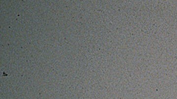 Mario Bezares estuvo en prisión por sospecha del asesinato de Paco Stanley.