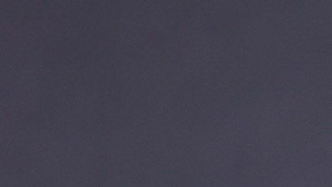 Pedro Almodóvar posando.