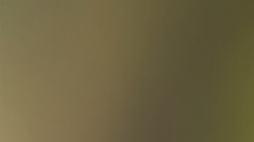 La funeraria les informó que la urna que les habían entregado contenía las cenizas de una persona desconocida.