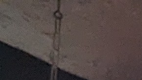 El taco adobado de Los Tacos No.1 a base de cerdo marinado con chile rojo, se corta al estilo shawarma.