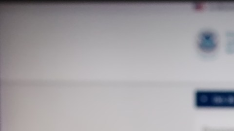 Cómo obtener permiso de trabajo siendo solicitante de asilo: trámite en línea en EE.UU.