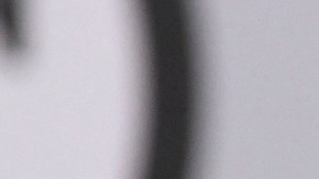 William Levy no deja de ser relacionado con posibles conquistas.