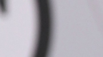 William Levy no deja de ser relacionado con posibles conquistas.