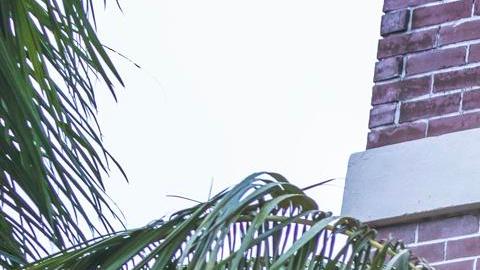 Los residentes de Fort Myers colocan madera contrachapada sobre las ventanas del segundo piso mientras se preparan para el huracán Milton en Fort Myers, Florida, EE. UU., el 08 de octubre de 2024.