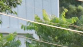 Migrantes salen en caravana este sábado de la ciudad de Tapachula, en el estado de Chiapas.