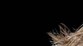 Michael S. Jeffries, chairman and CEO of Abercrombie & Fitch, speaks at the annual National Retail Federation conference Tuesday, Jan. 13, 2009 in New York. (AP Photo/Mark Lennihan)