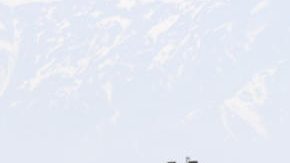 Jugadores del Palestino salieron al campo en un partido de liga frente a Coquimbo Unido denunciando el "genocidio en Palestina", en el primer  aniversario de los ataques de Israel sobre la franja de Gaza.